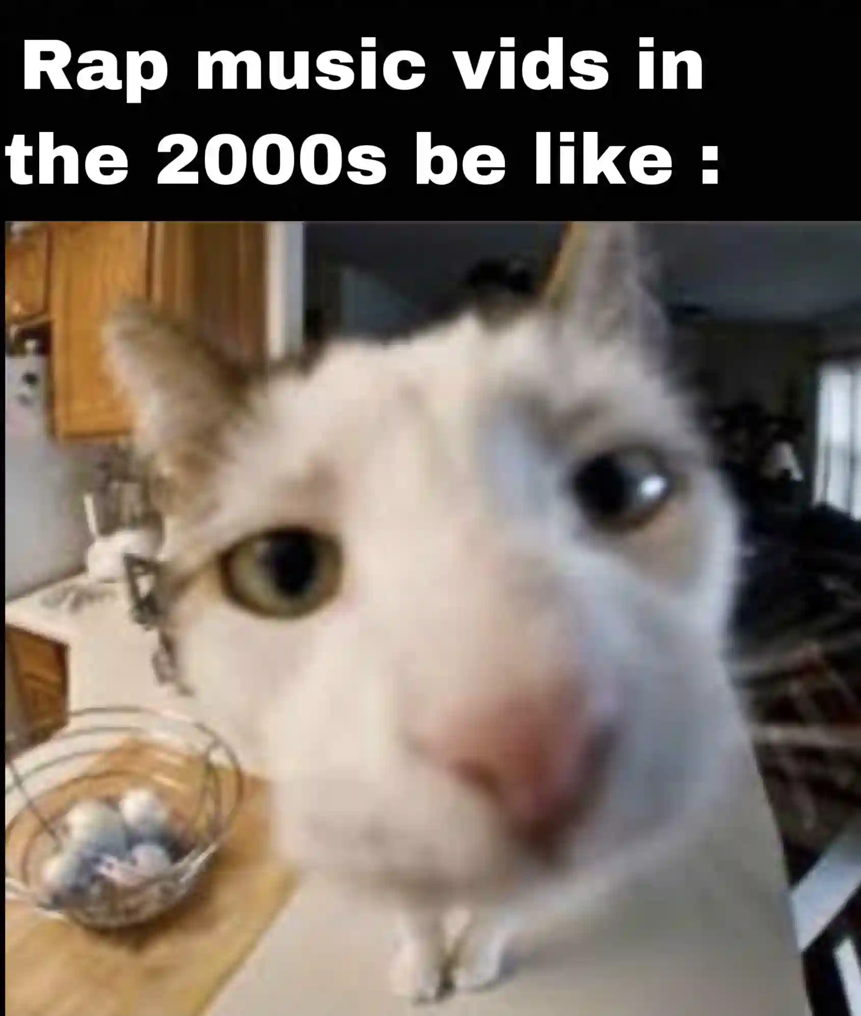 2000s rap music vids meme blurry cat face