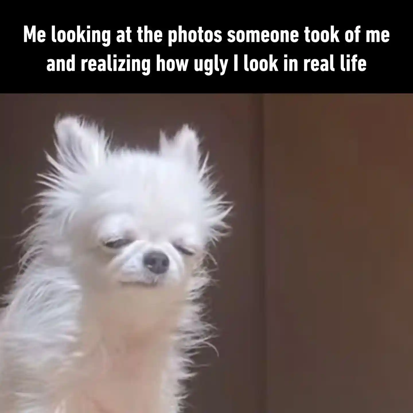 Ugly photo meme knowing you look ugly