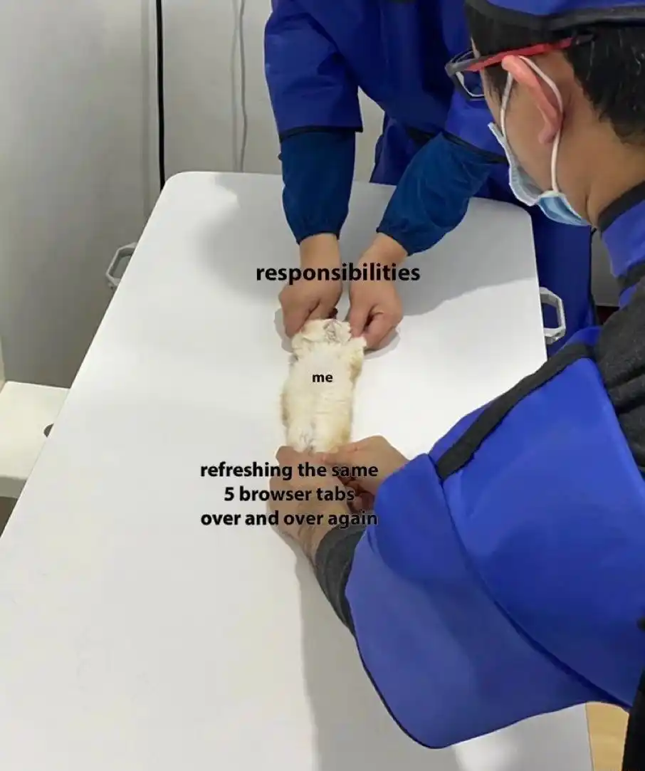 Responsibilities meme stretching me refreshing tabs