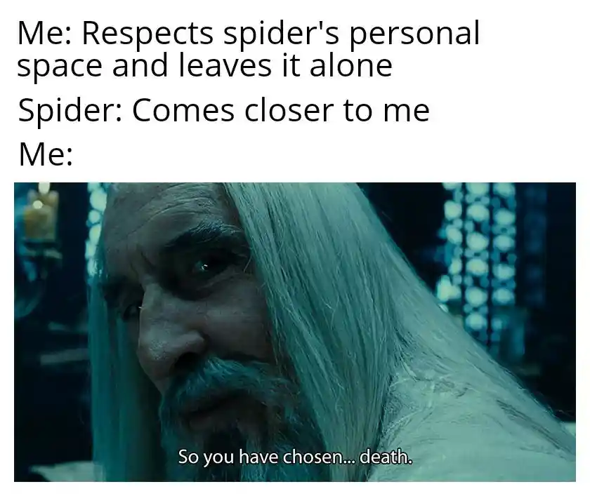 Spider meme death threat