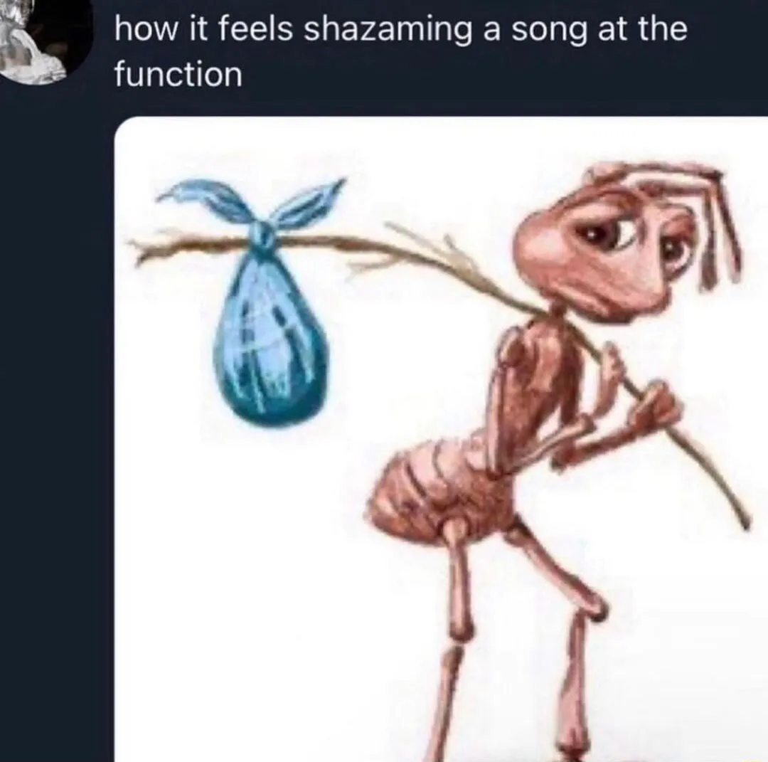Sad ant meme shazaming a song at function