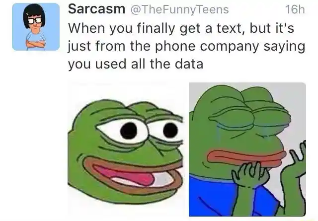 Sad frog meme excited for text then sad over using all data