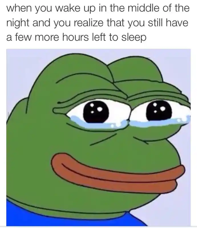 Sad frog meme happy tears finding extra sleep time