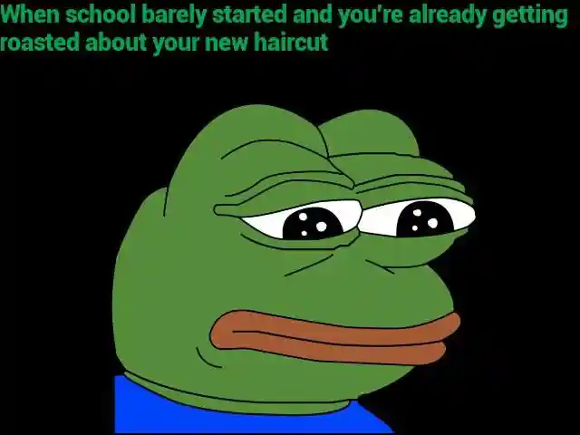 Sad frog meme roasted for new haircut at new school