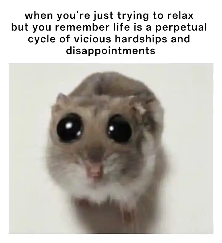 Sad hamster meme upset over life woes