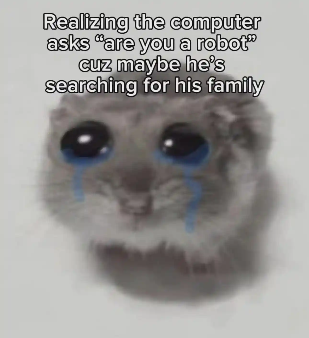 Sad hamster meme crying over captcha looking for family