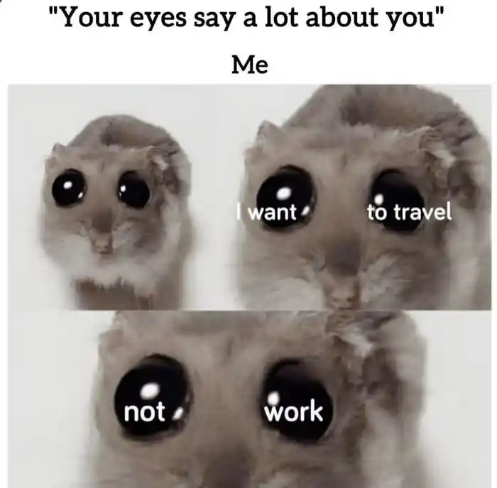 Sad hamster meme want to travel not work