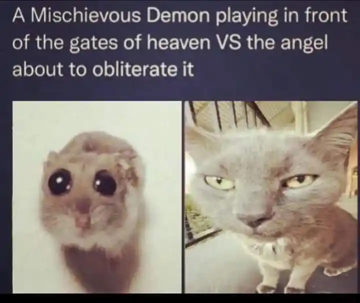 Sad hamster meme demon mischief vs angel