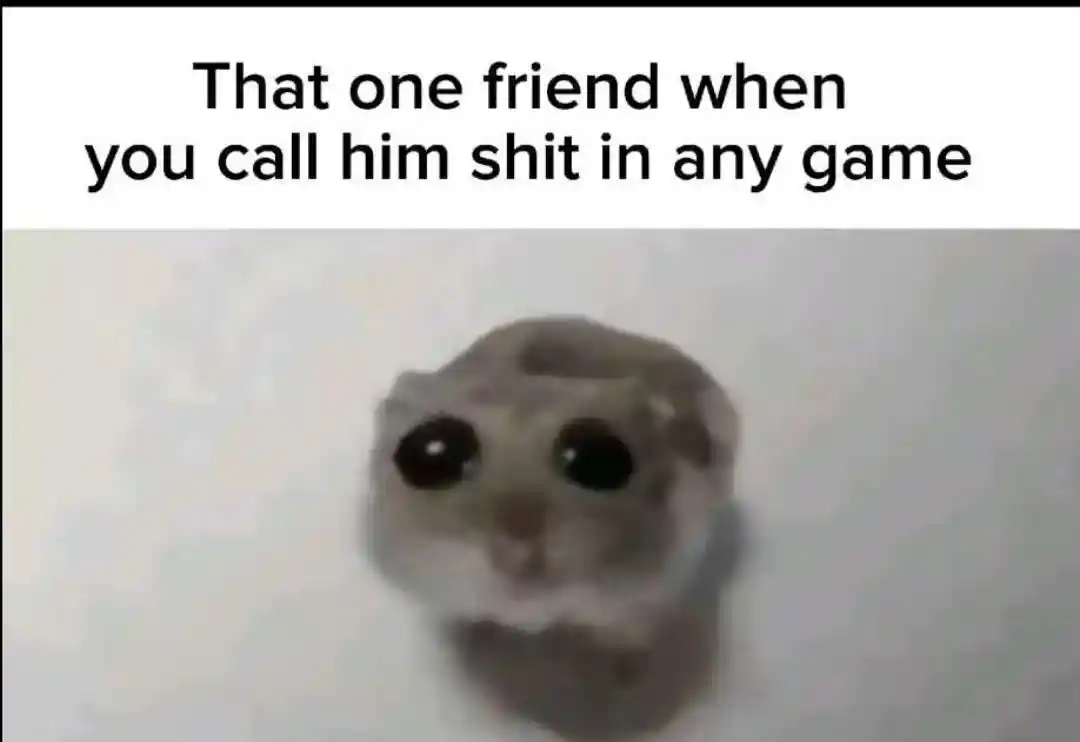 Sad hamster meme sad when teased in game