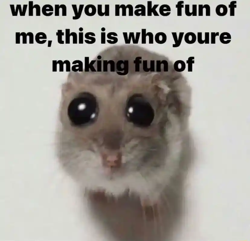 Sad hamster meme when you make fun of me