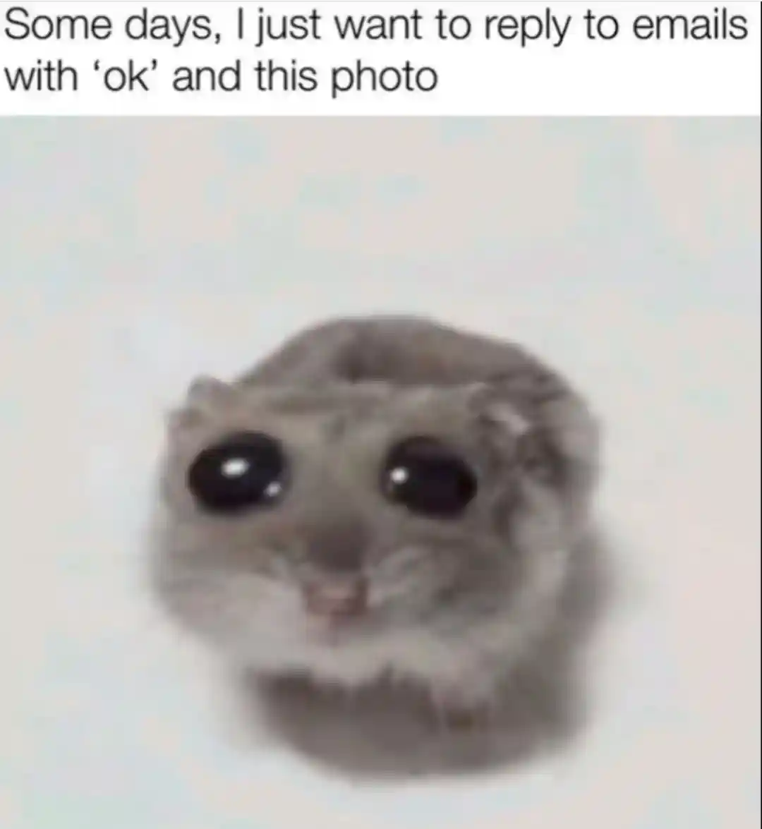 Sad hamster meme reply emails with ok