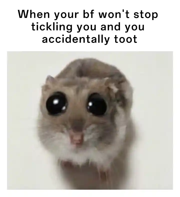Sad hamster meme awkward toot when bf tickles