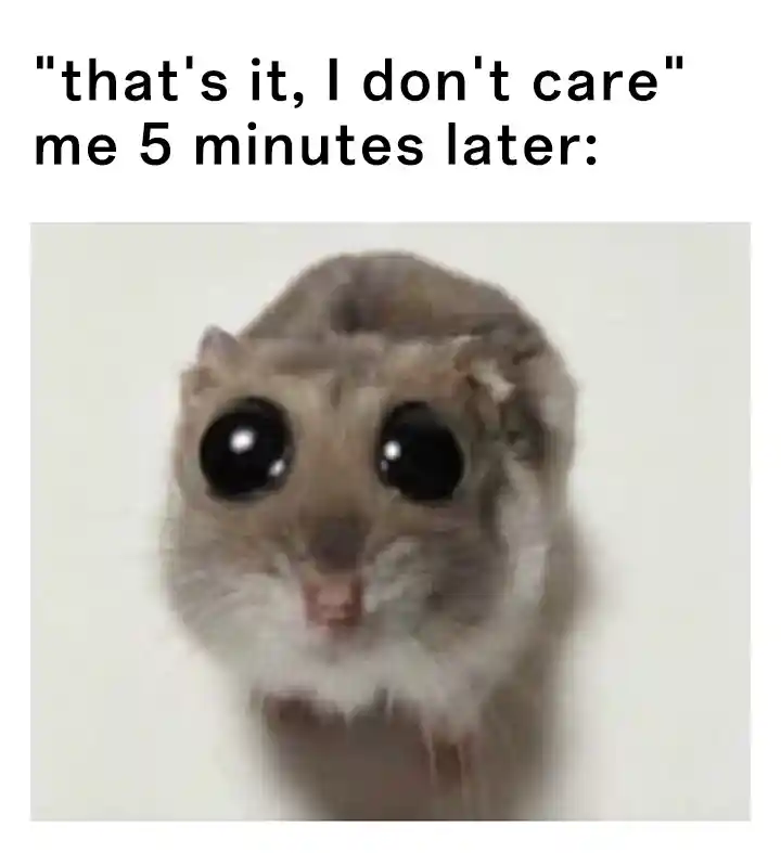 Sad hamster meme regret after 5 minutes