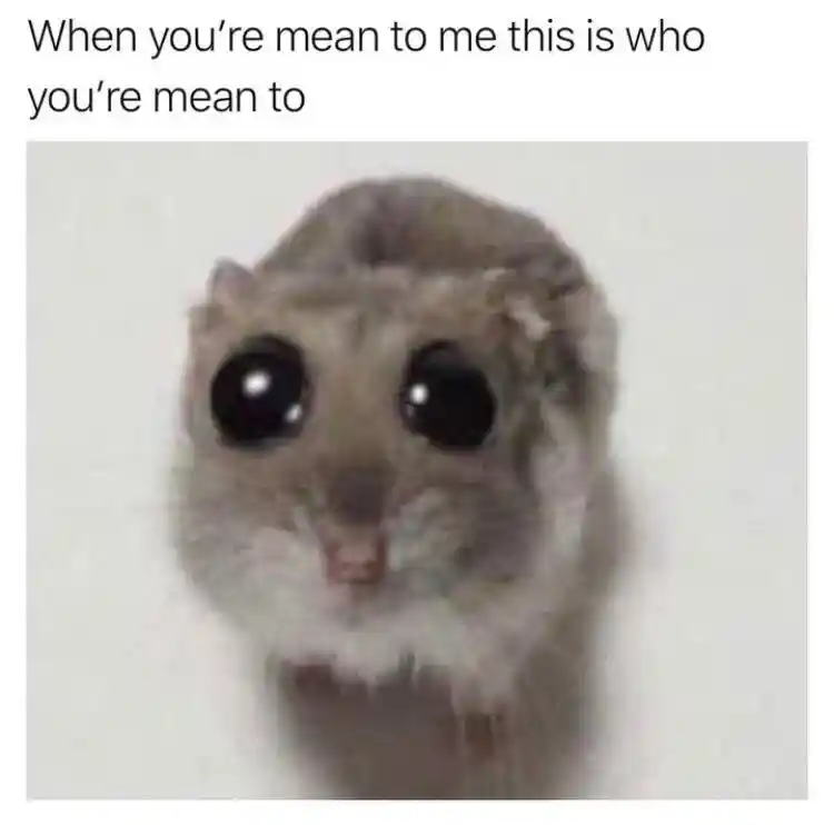 Sad hamster meme being bullied looks sad