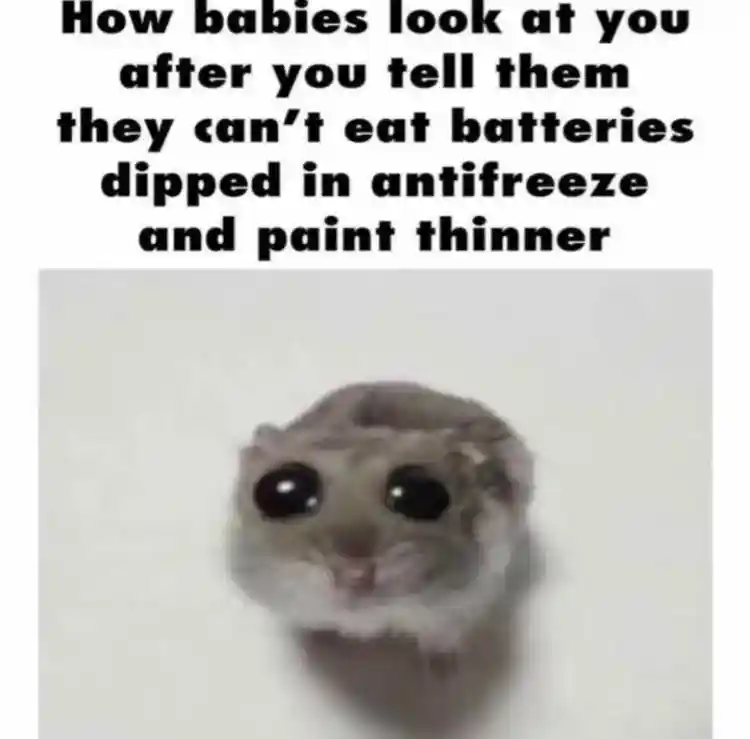 Sad hamster meme baby stares at you sadly