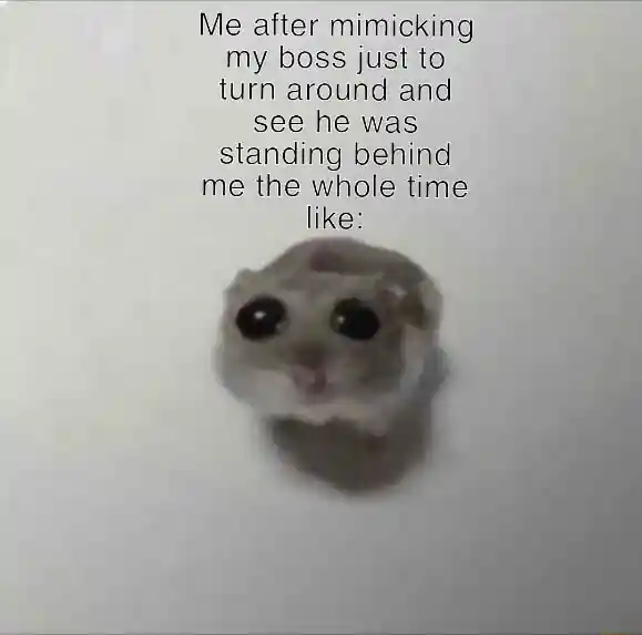 Sad hamster meme caught mimicking boss