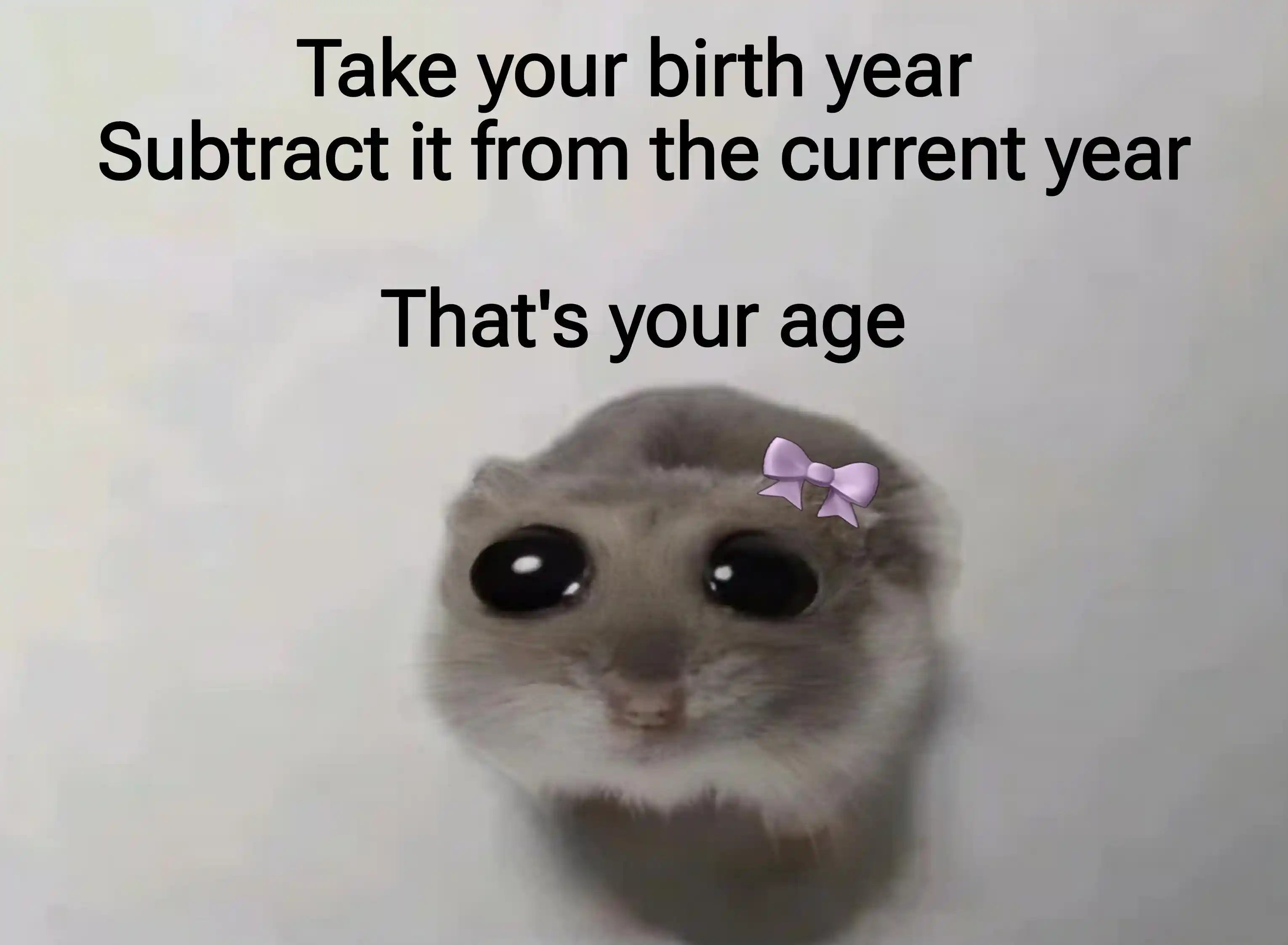 Sad hamster meme telling you your age