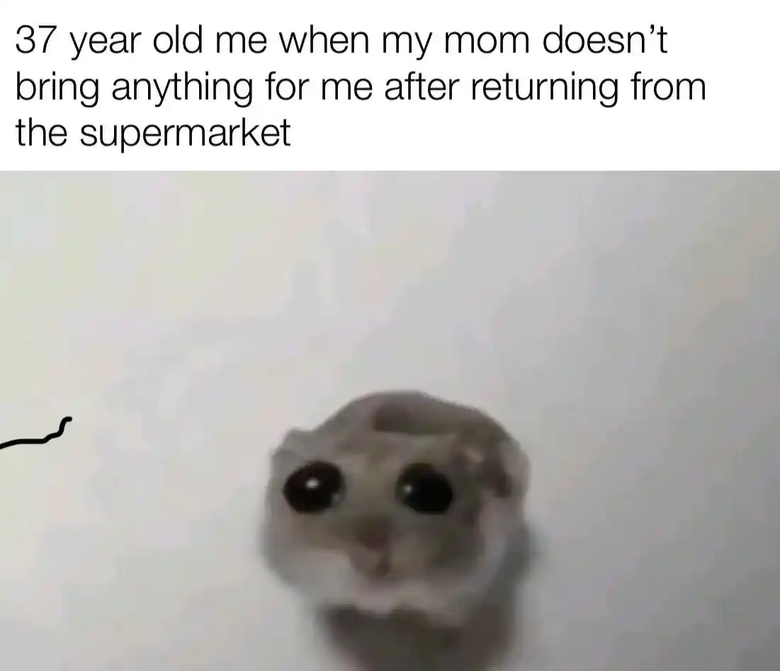 Sad hamster meme sad no snack from mom