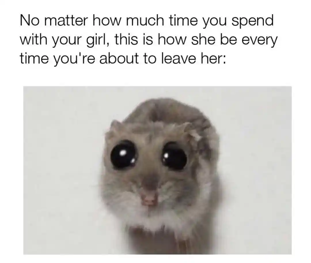Sad hamster meme sad when you leave her