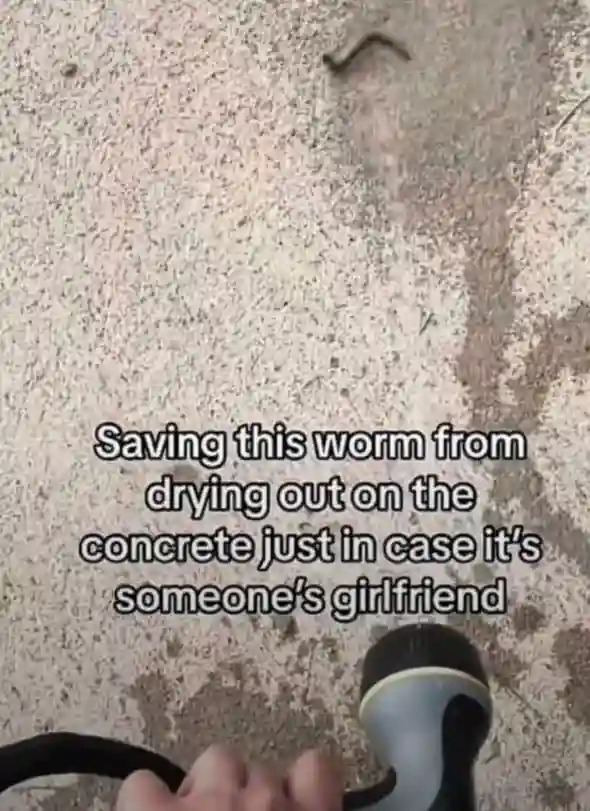 Saving worm meme as someones girlfriend