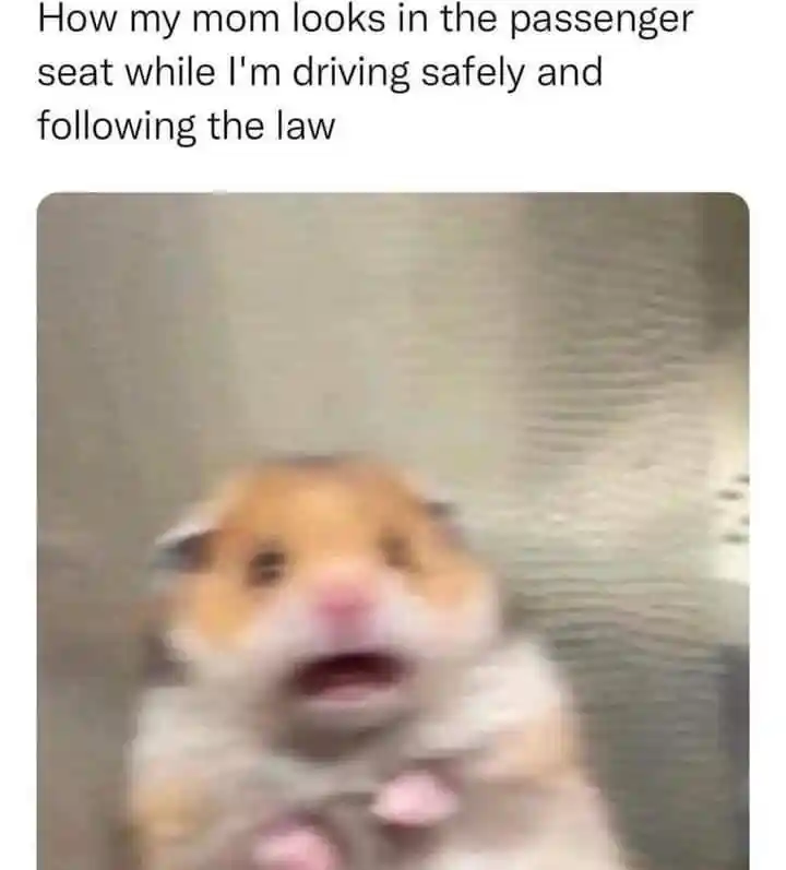 Scared hamster meme mom panics in passenger seat
