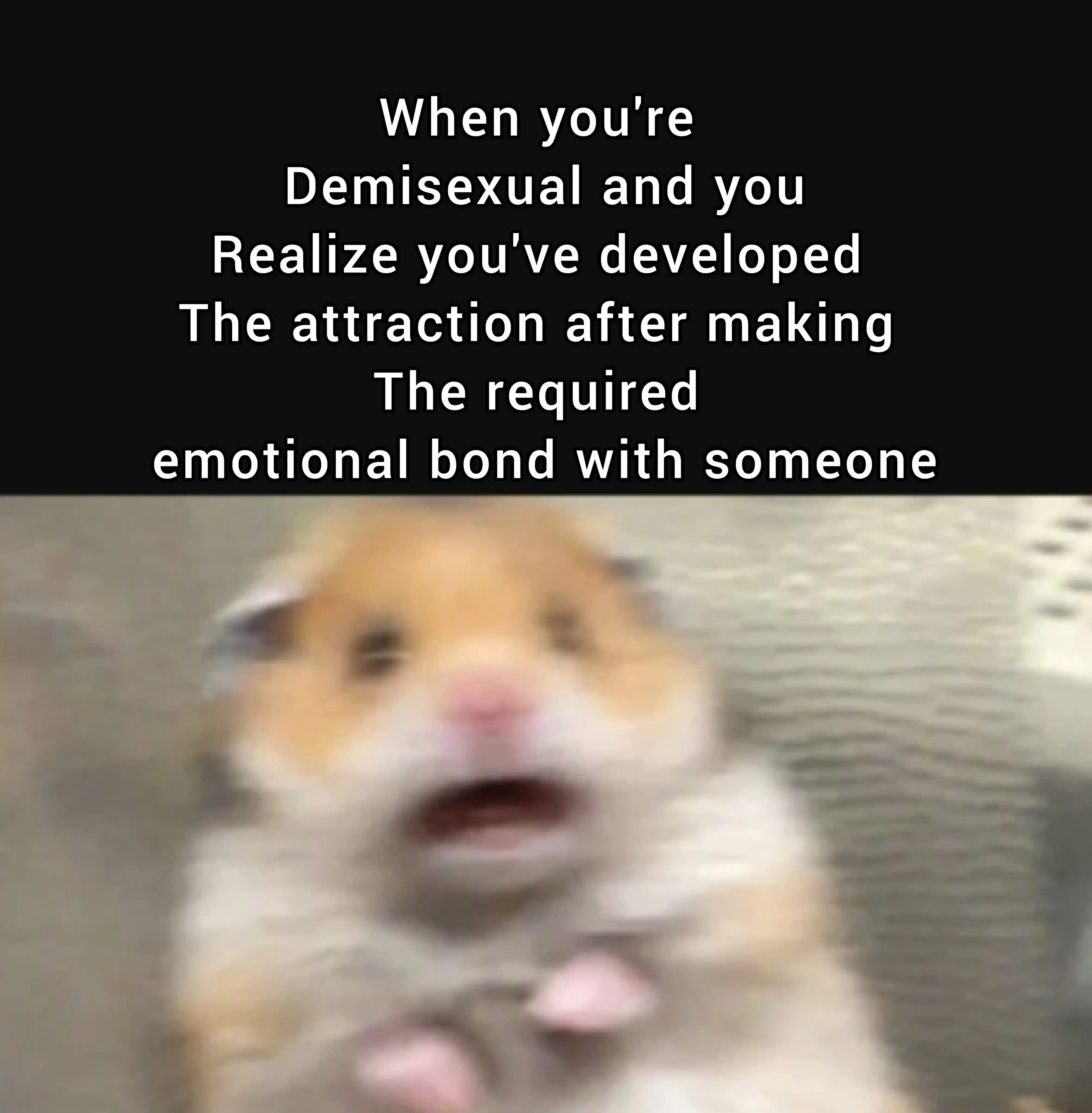Scared hamster meme shocked by new crush
