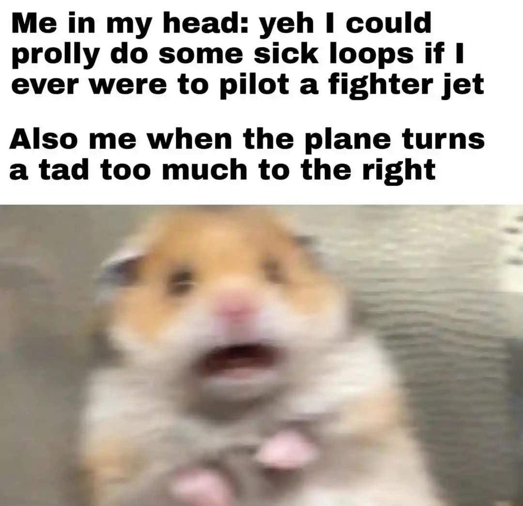 Scared hamster meme panics at sharp turn