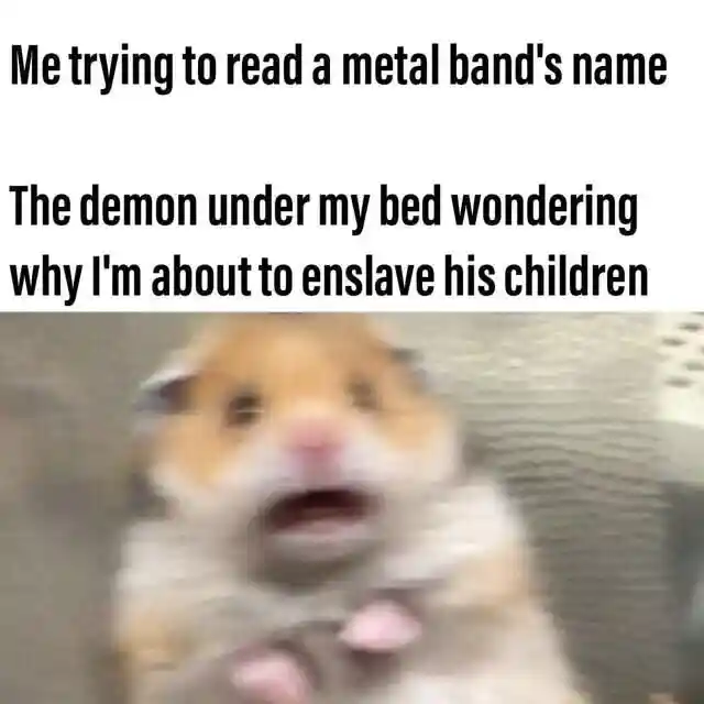 Scared hamster meme misreading metal band