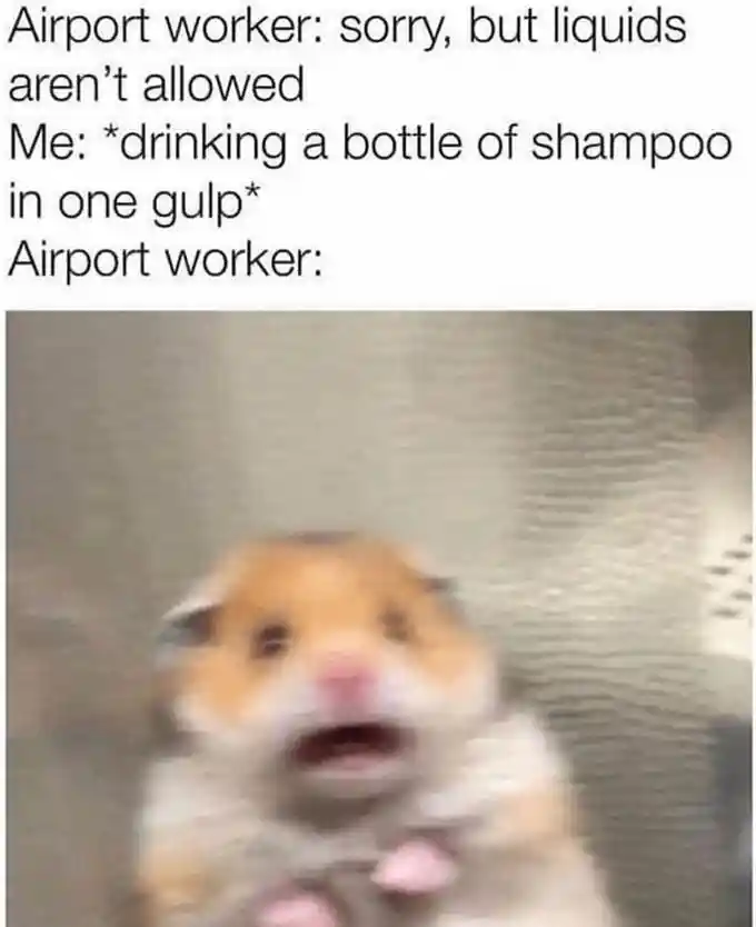 Scared hamster meme shocked by airport shampoo stunt