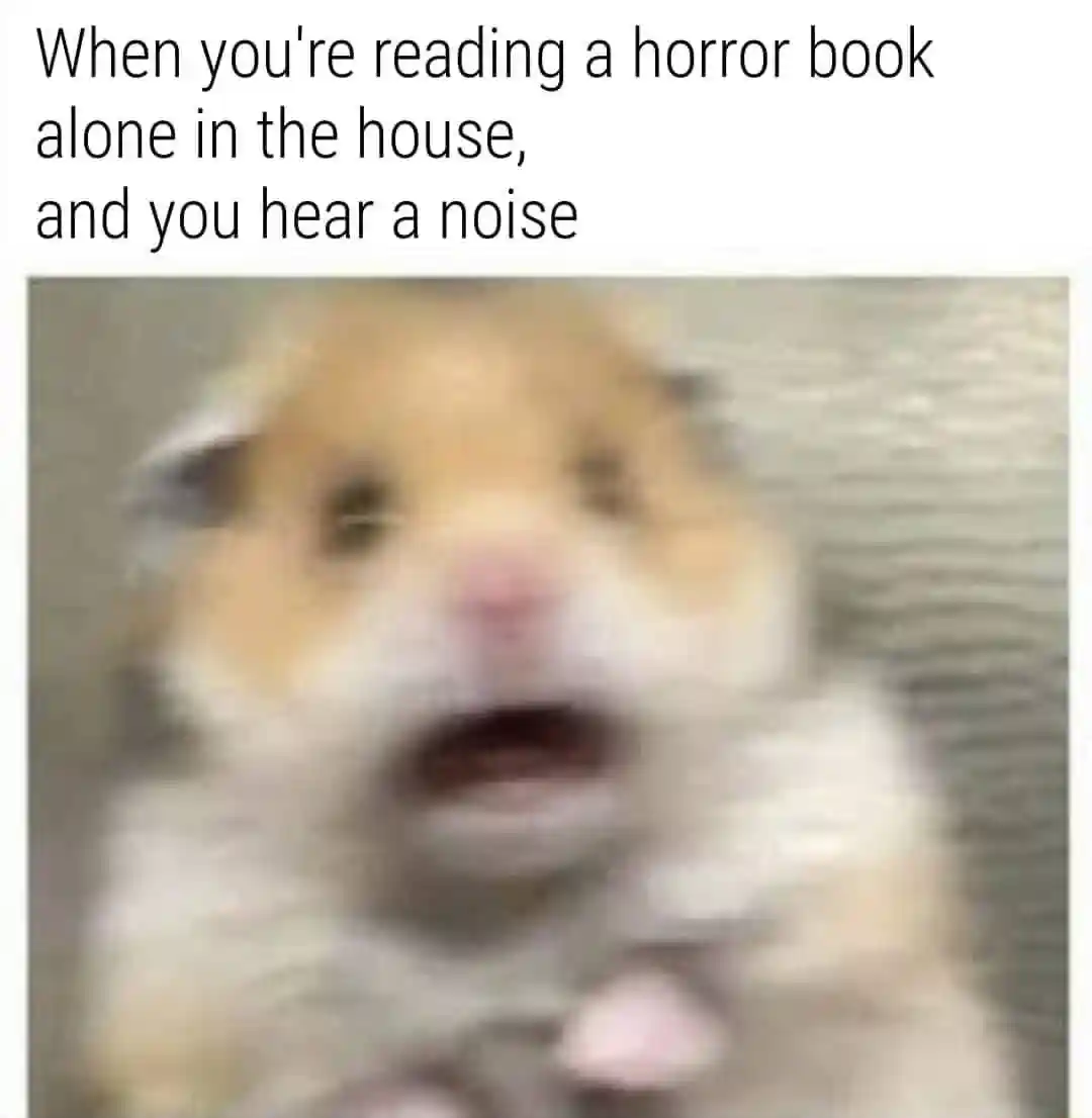 Scared hamster meme panics hearing noise reading horror book