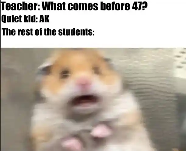 Scared hamster meme shocked at quiet kid ak joke