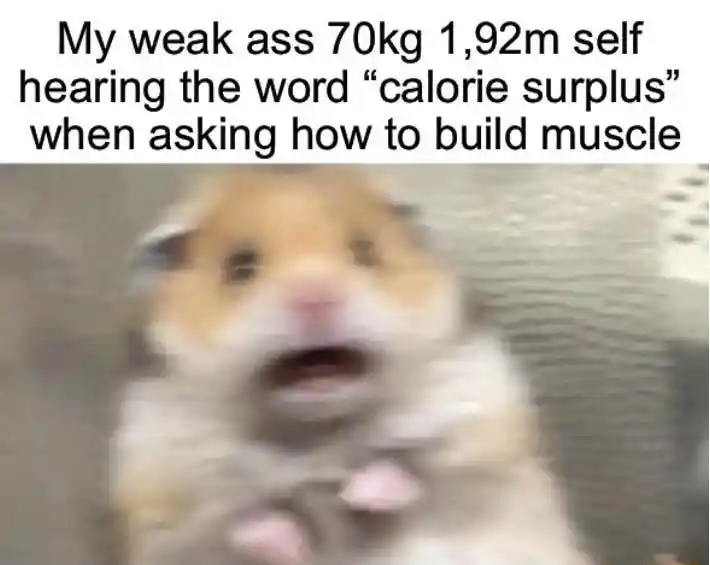 Scared hamster meme shocked by calorie surplus