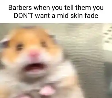 Scared hamster meme barbers shocked at no mid skin fade