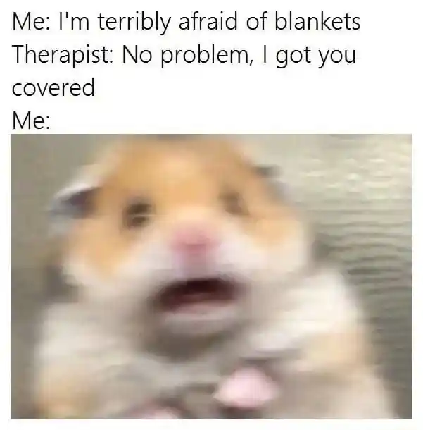 Scared hamster meme jumps at blanket pun