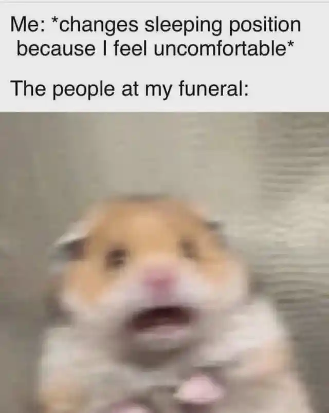 Scared hamster meme shocked at funeral