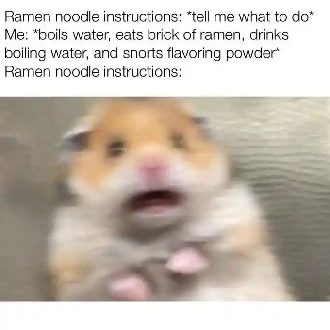 Scared hamster meme reacts to ramen mess