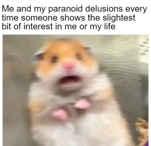 Scared hamster meme panics at others slight interest