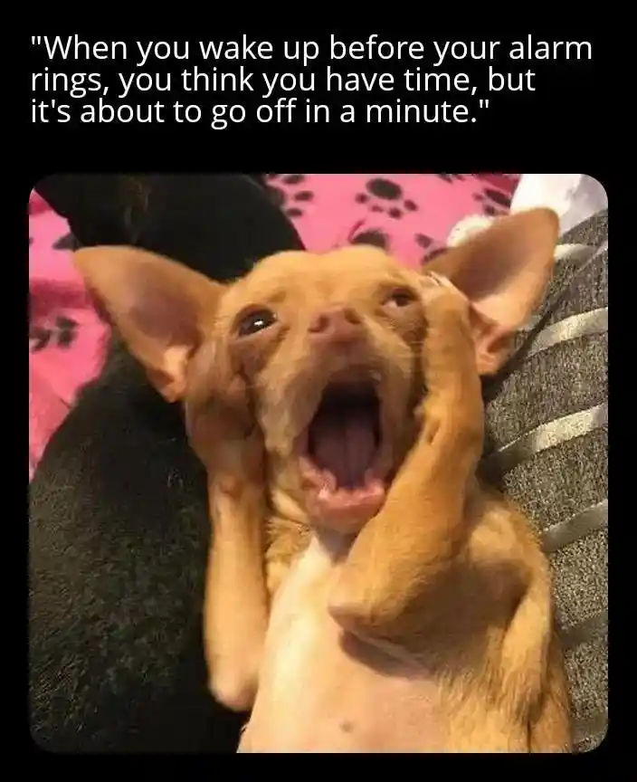 Wake up before alarm meme panicking now