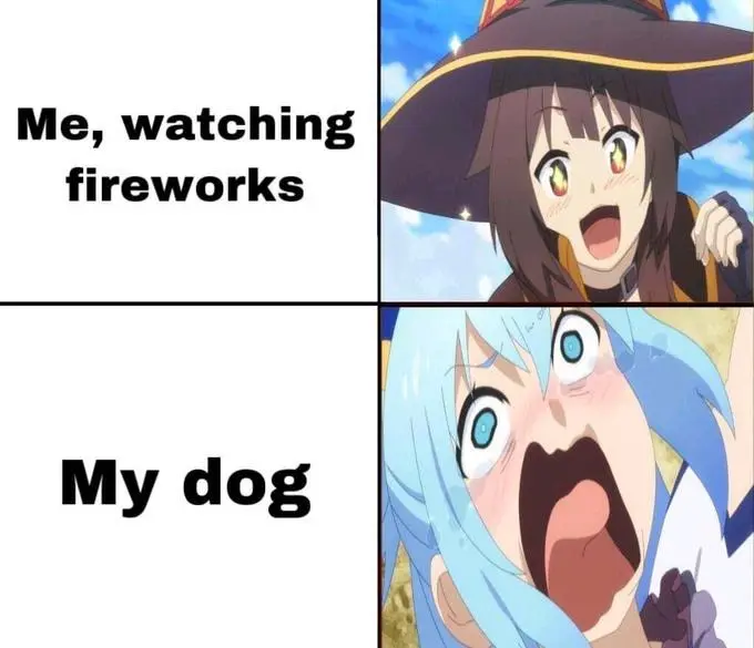 Screaming aqua meme dog fears fireworks