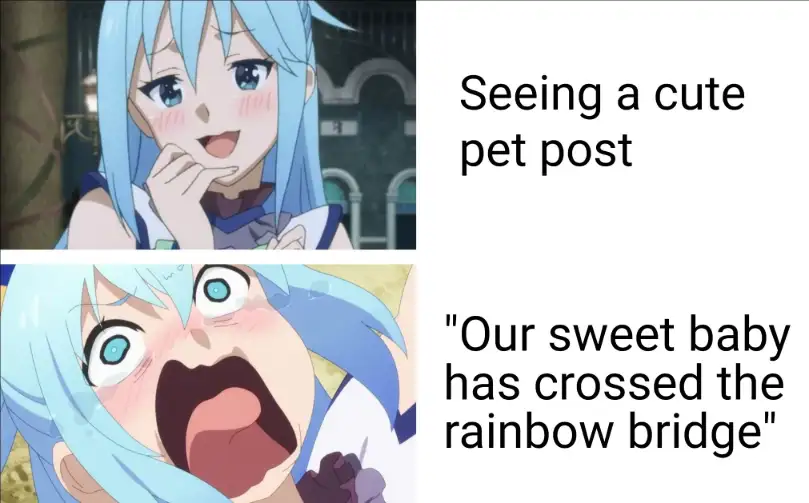 Screaming aqua meme shocked by pet loss