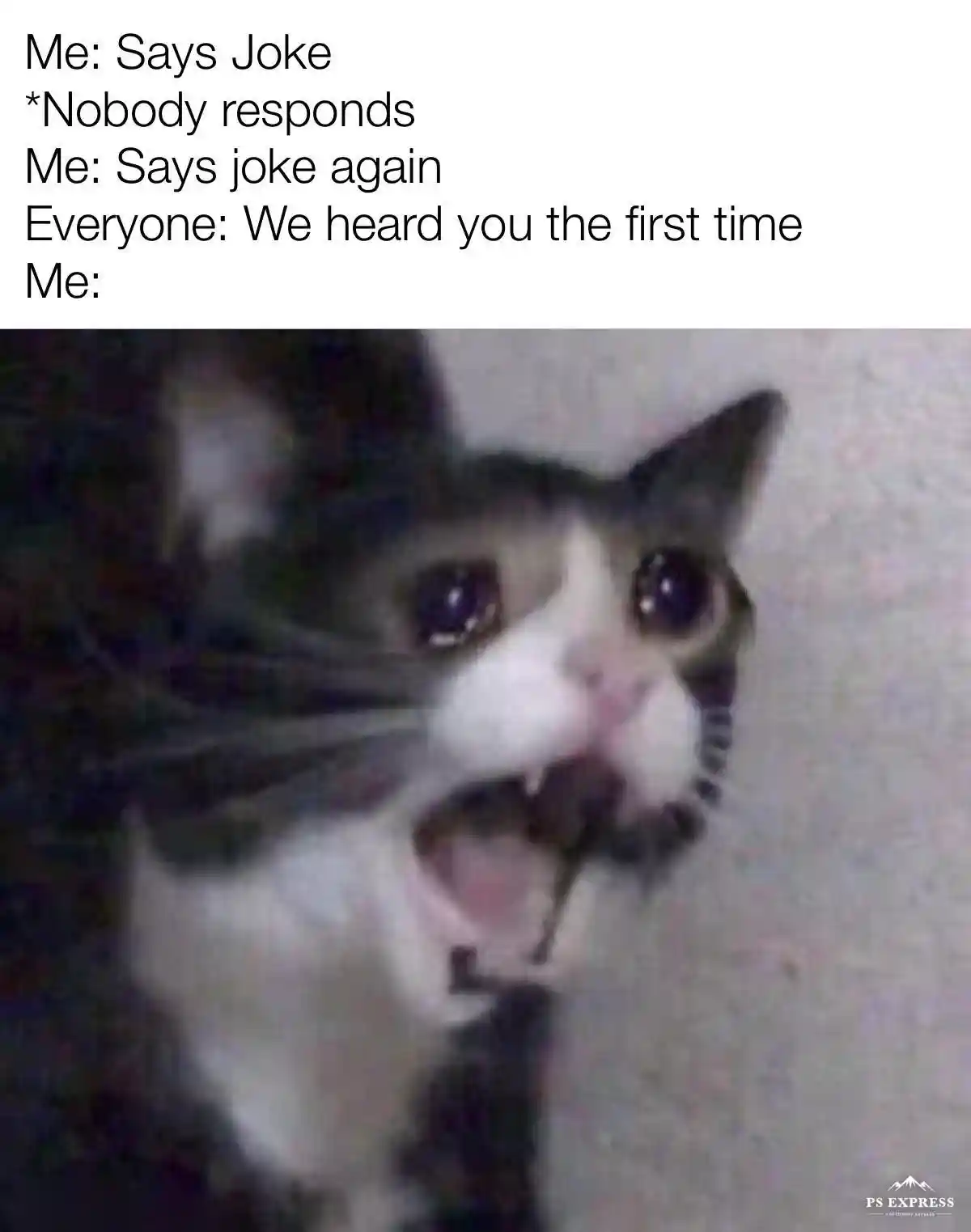 Screaming cat meme shy after repeat joke