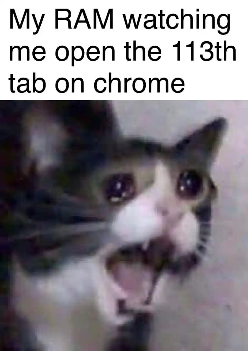 Screaming cat meme panicking at 113th chrome tab