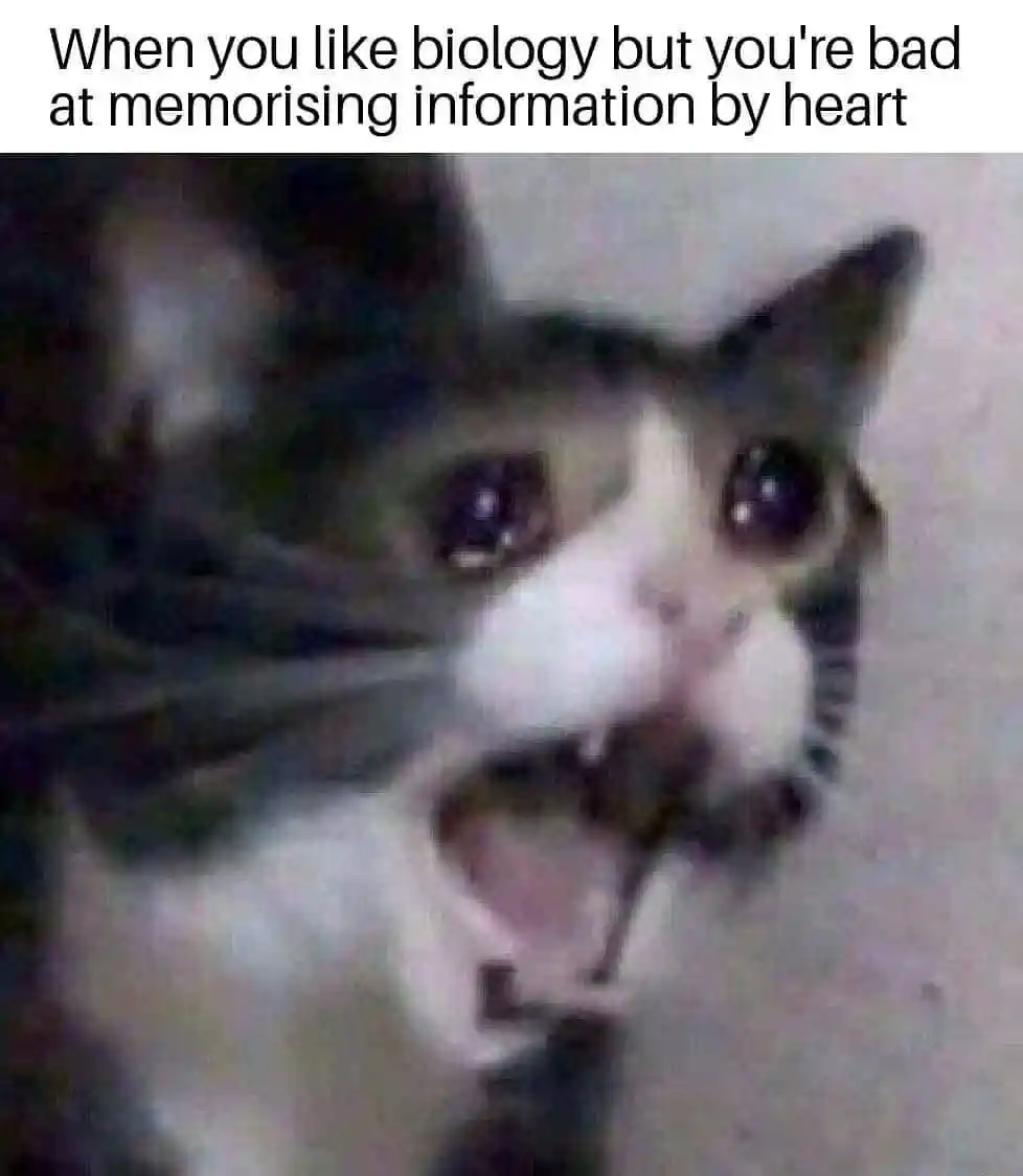 Screaming cat meme bad at biology memory