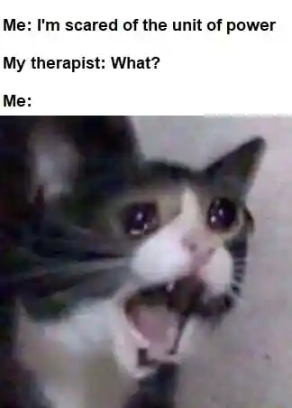Screaming cat meme stutters to therapist