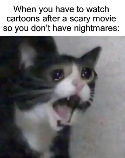 Screaming cat meme scared after scary movie