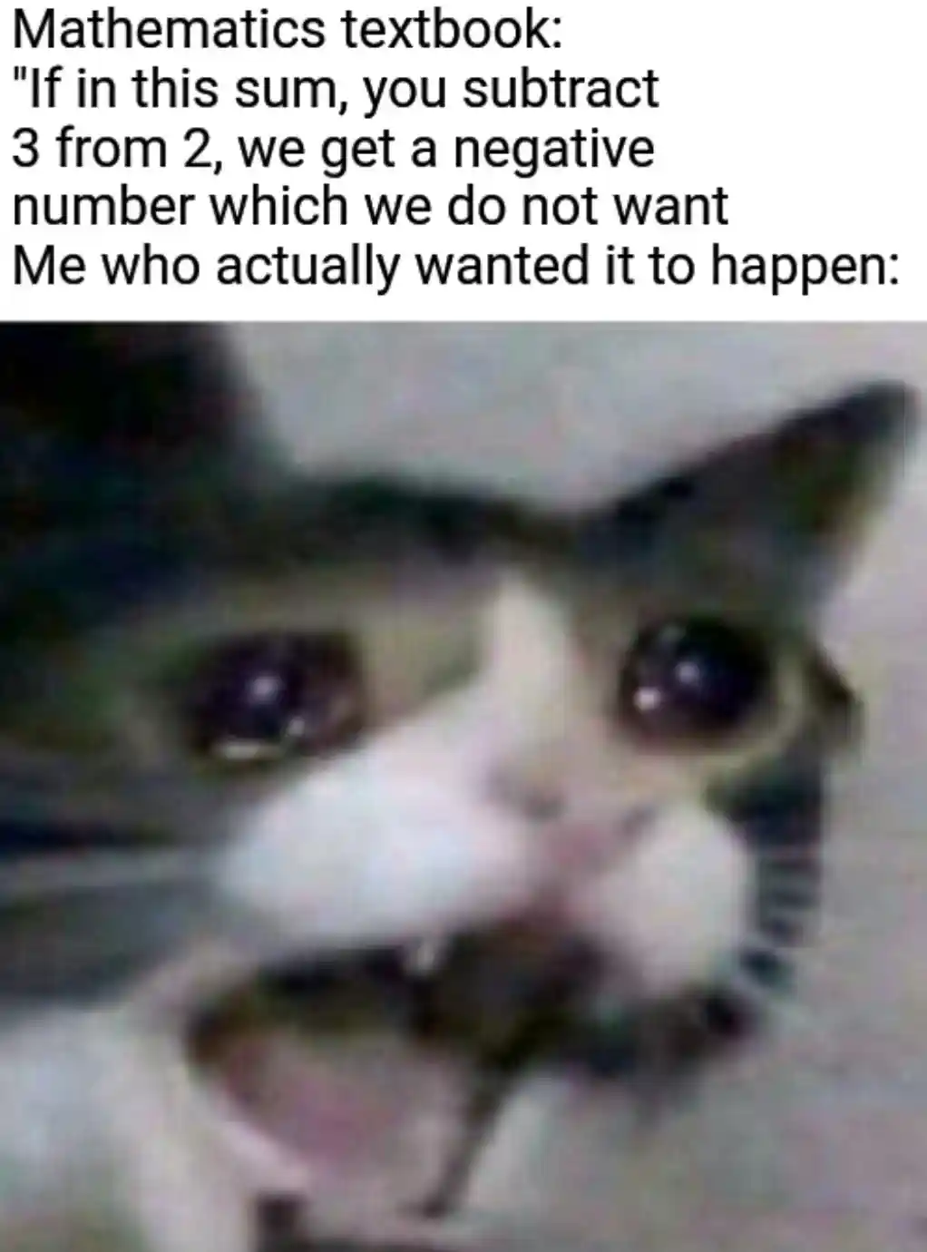 Screaming cat meme wants negative math