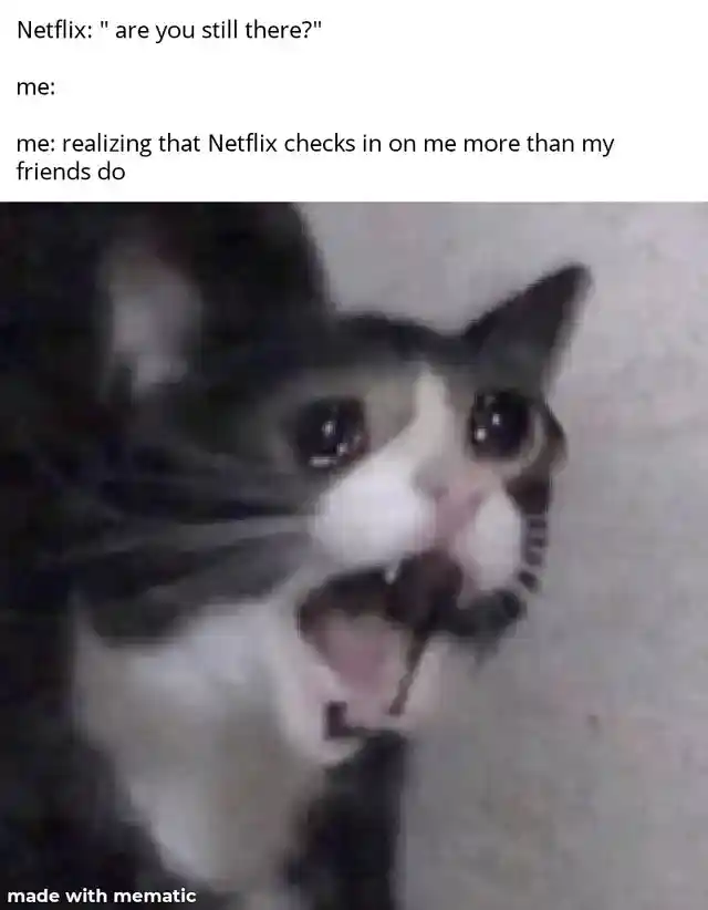 Screaming cat meme sad netflix checks in more than friends