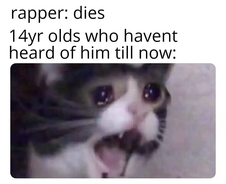 Screaming cat meme reacts to dead rapper
