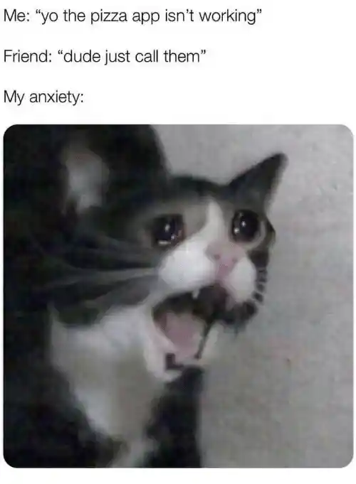Screaming cat meme panics calling pizza