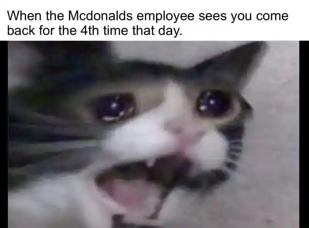 Screaming cat meme mcdonalds 4th visit